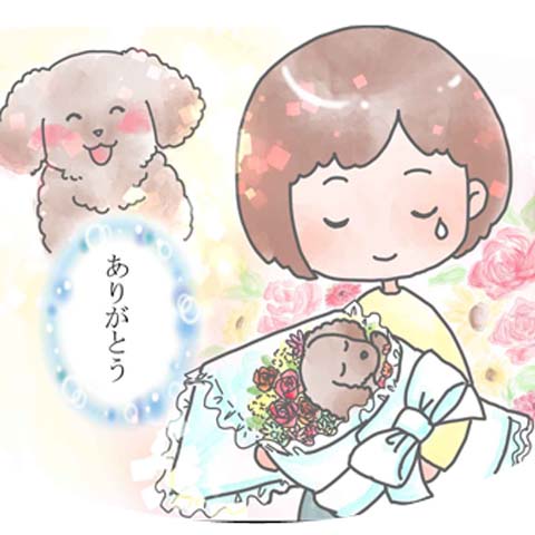 物販ペット供養大百科 ｜ ペット火葬 池田市