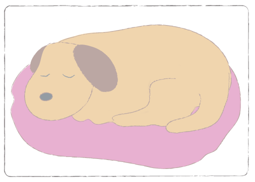 涼しいお部屋で寝かせてあげてください。 | ペット火葬 池田市