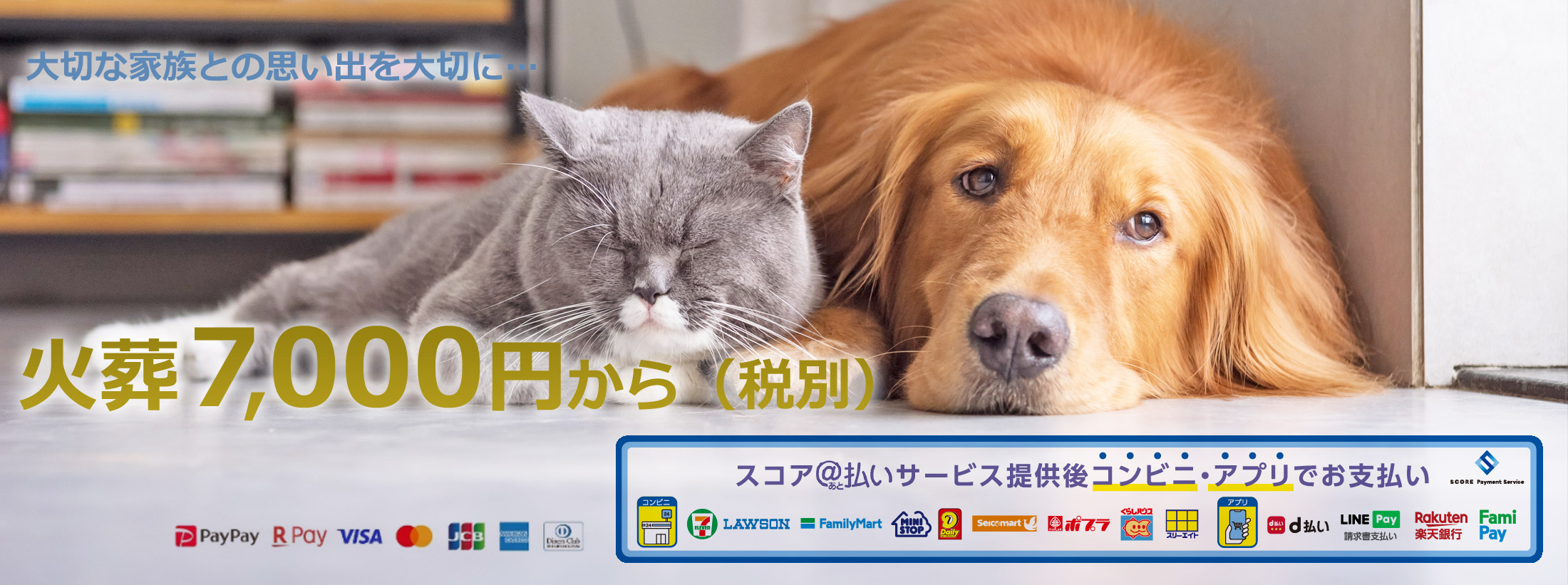 愛ペットエンジェルリング背景 | ペット火葬